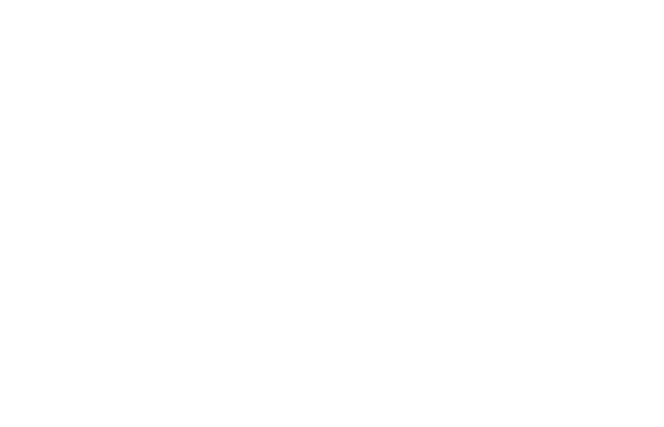 BiBo logo